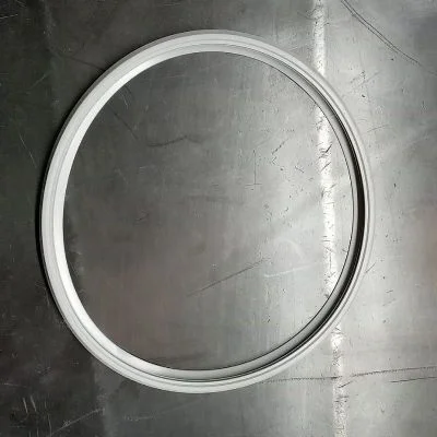 GUARNICAO DE SILICONE 30/40 LITROS